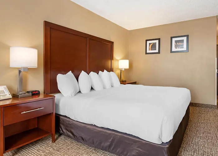 Comfort Inn Msp Airport - Mall Of America