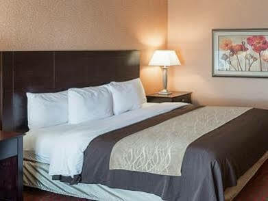 Comfort Msp Airport - Mall Of America 3* Bloomington